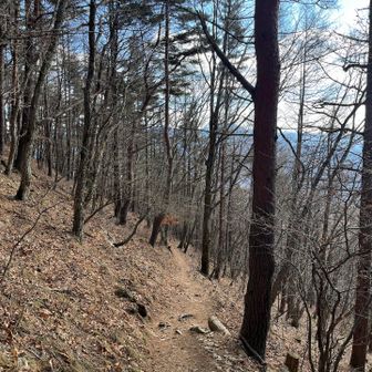 その後は巨石見ながら