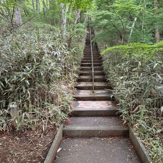 終わったと思ったらやっぱり出てきた