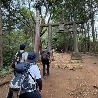 ワイワイと歩きます
人がたくさんいるなぁと驚く3人。