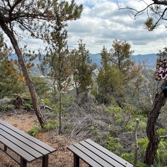 おべんとうひろばらしいので

ここでランチタイム
お弁当を食べます🍱

じっとしてると寒い🥶