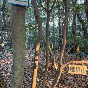 結構ハードな階段ルートを登り息切れしましたが、ここまでは順調