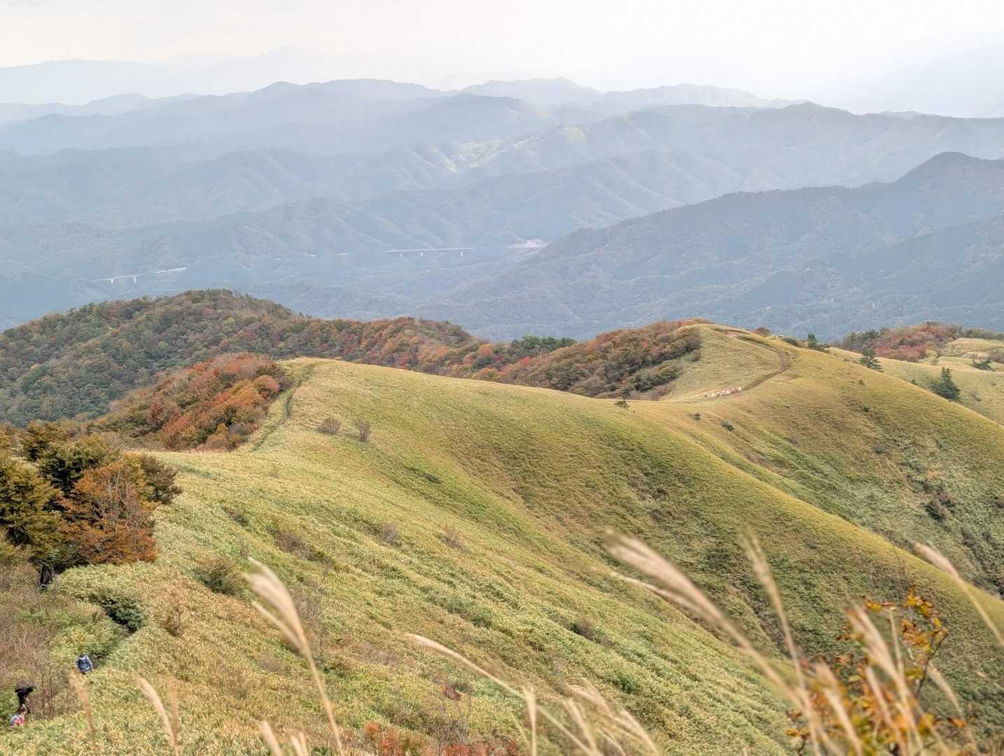 なかなかこういう景色の山に登ってないので感動しっぱなし🥹