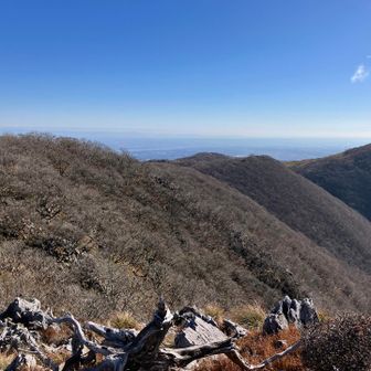 天狗岩方面は御池岳と雰囲気似てる気がする。無風だとカルスト散歩コースみたいで楽しい