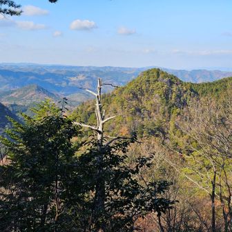 北西の眺めが開けています。
とんがっているのは、布曳滝の北に位置する560ｍ余のピークかな。
左手の長坂山は、木が邪魔していました。