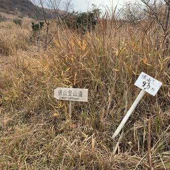 俵山どんなもんじゃい？