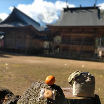 誰もいない暖かな境内で、暫し糖分補給タイム！
(友人にいただいたアンリシャルパンティエのラングドシャと家の富有柿)