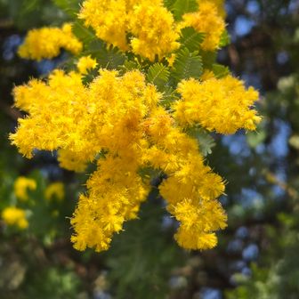 なんか可愛かった