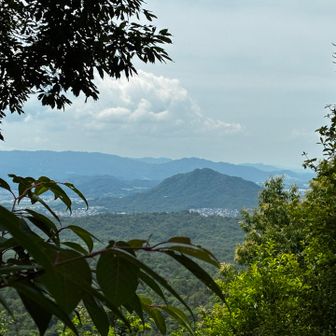 季節のせいか眺望はほぼなし
でも菩提寺山は見れたよ👀

山頂で蜂🐝が何匹か飛んでいたので即退散😆
