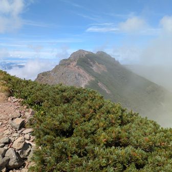 ガスが上がってきた。奥之院は写真に撮るだけで下山。