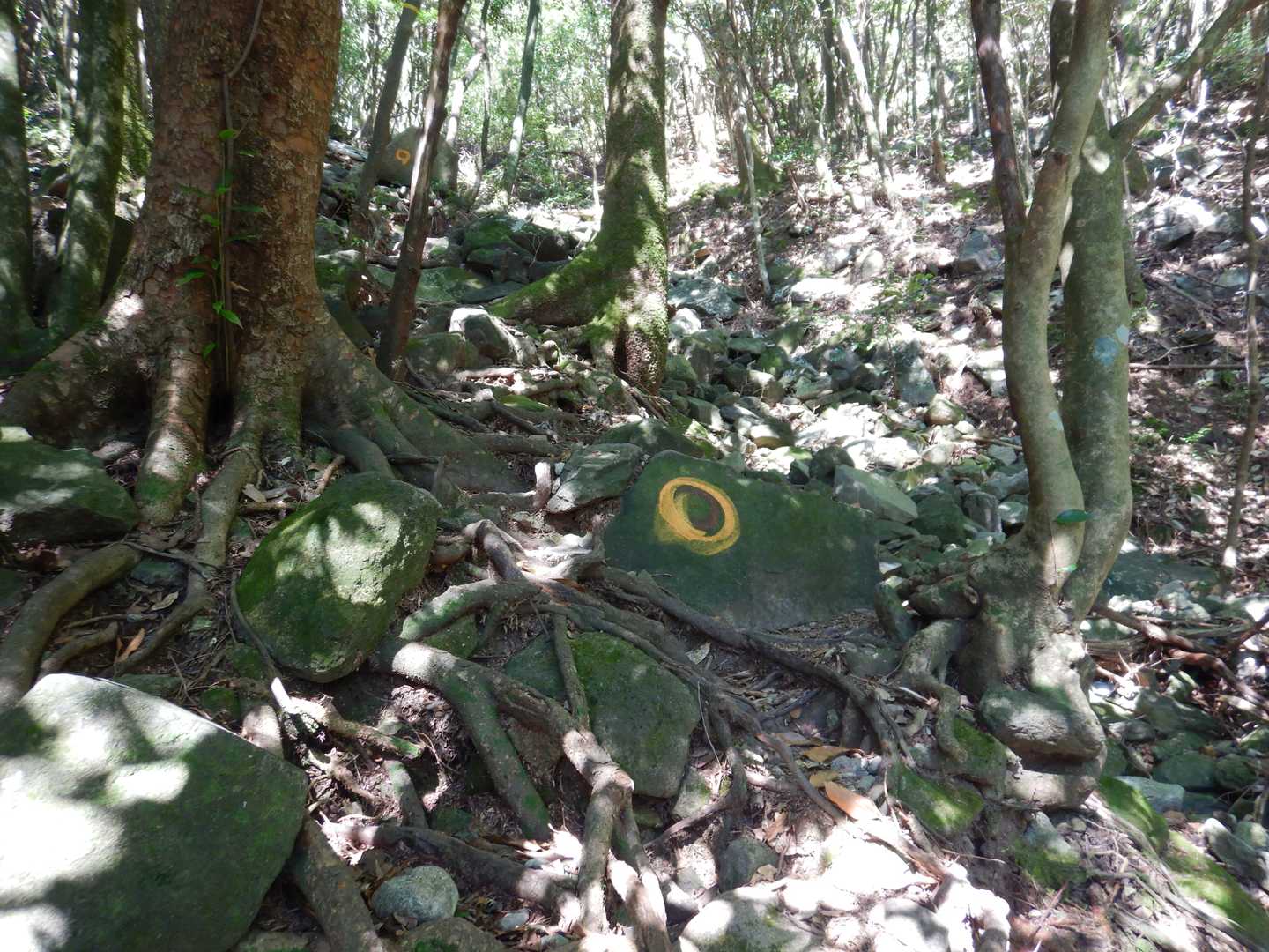 黒木登山口-経ヶ岳-舞岳-舞岳・経ヶ岳登山口 周回コースの写真