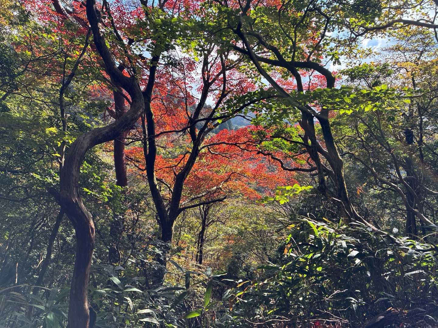 秋の気配
