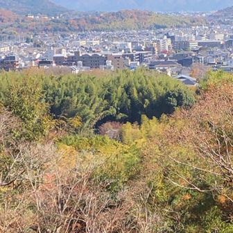 眼下に京都の街並みが広がります。