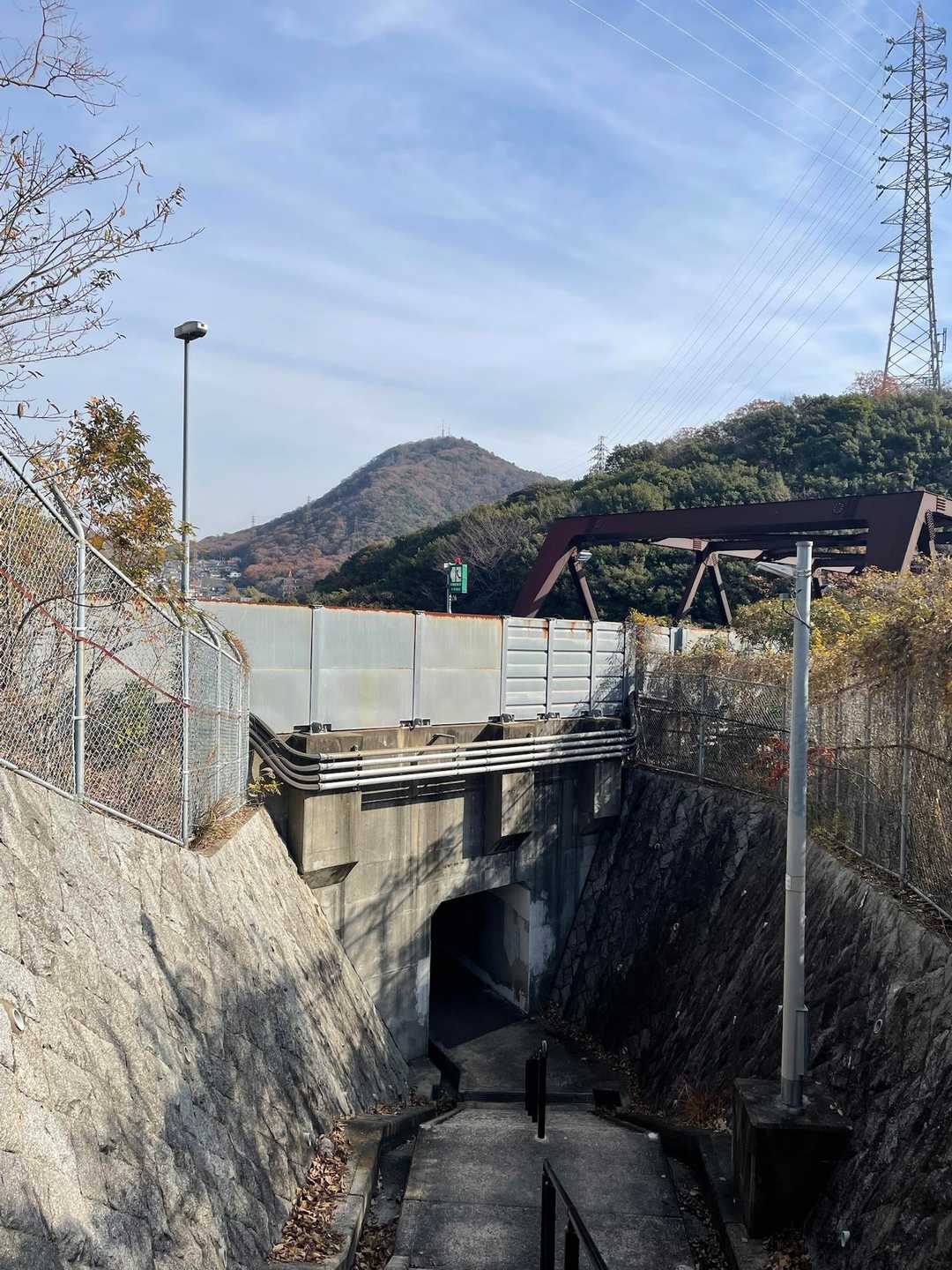 目の前のお山に行きます