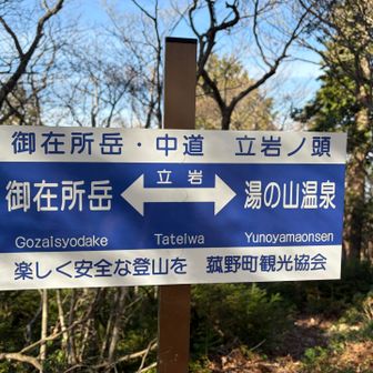 新しい道標🆕
ここはランドマークとしては認められないだろな🚩