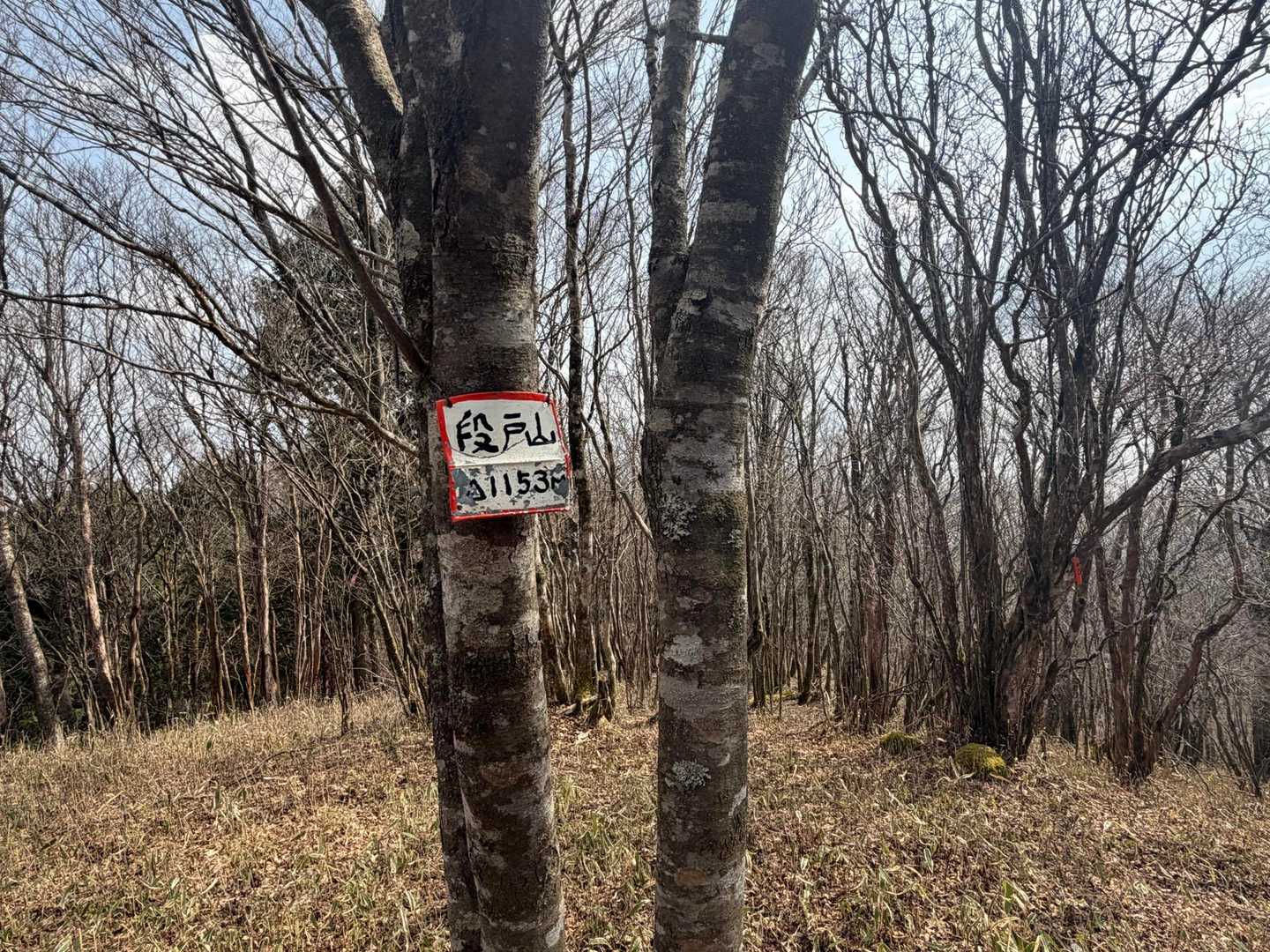 段戸山ついた