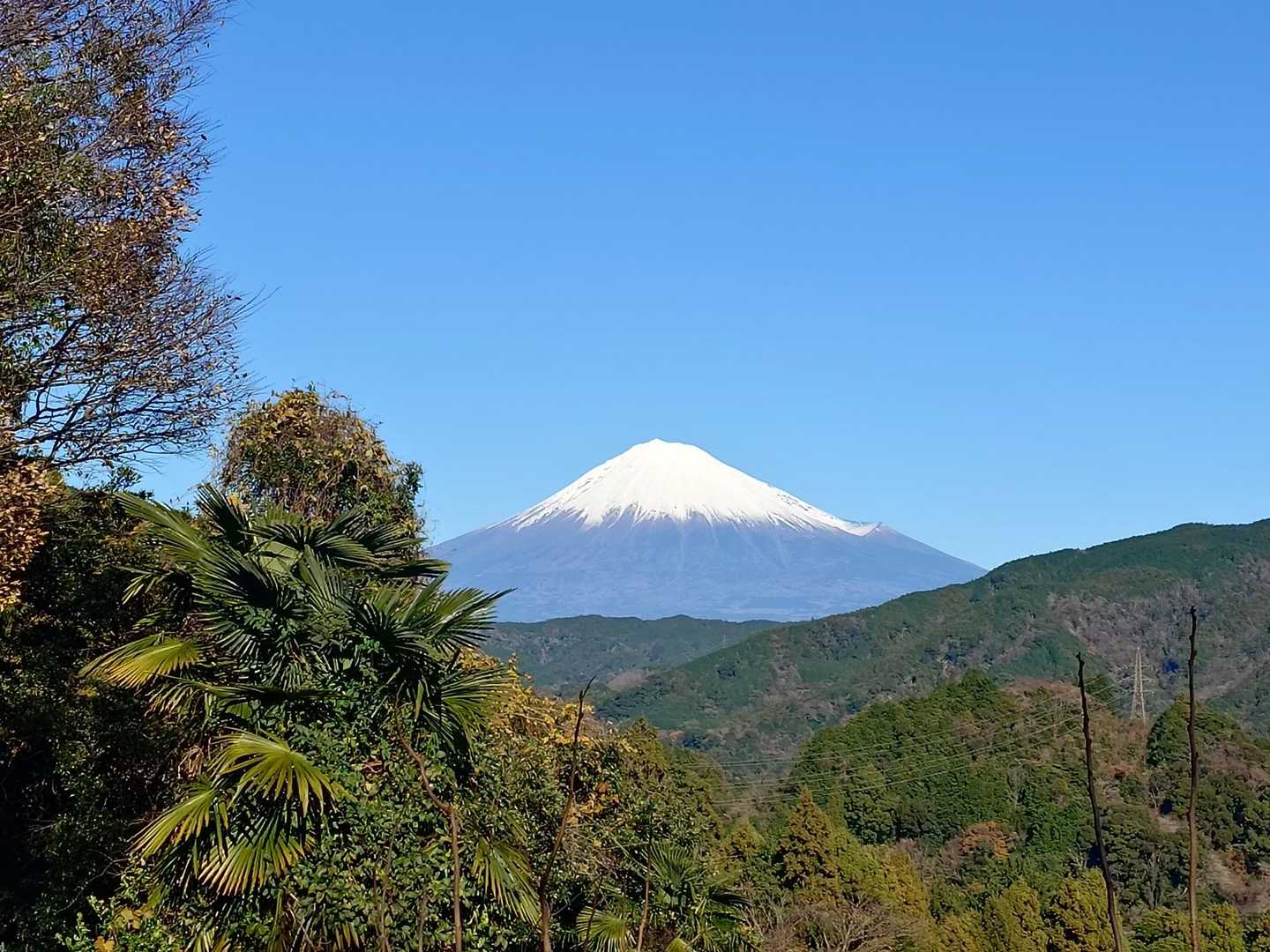 富士山🗻！