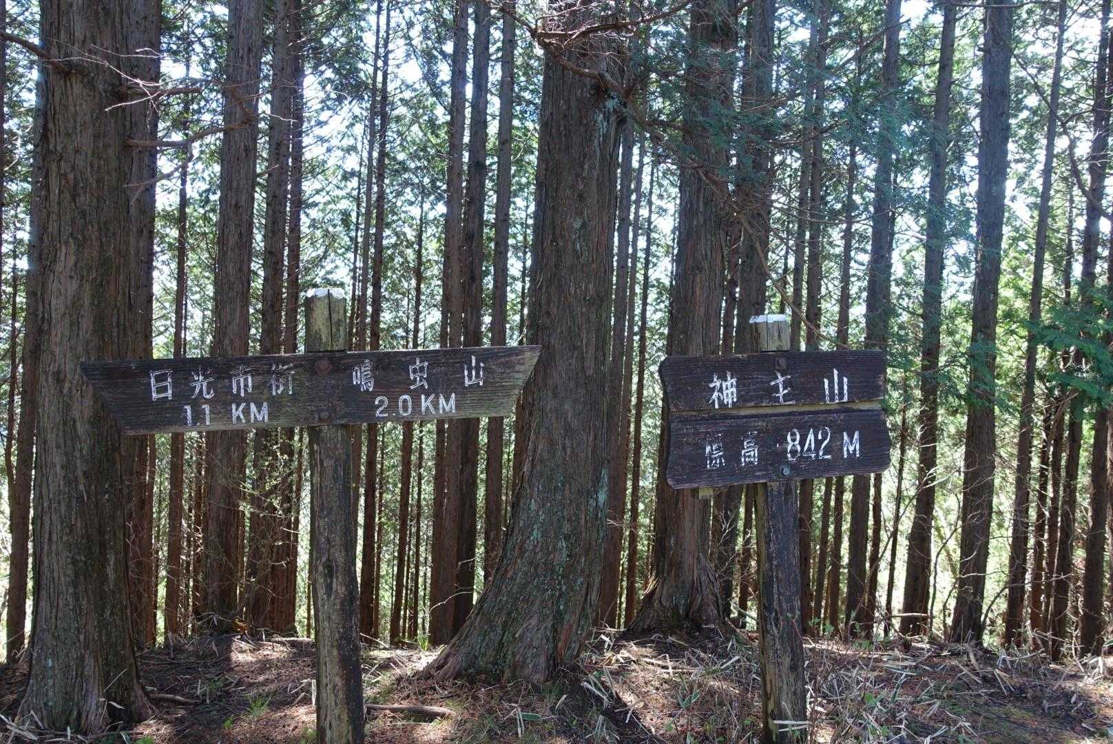 今日の１座目　神主山