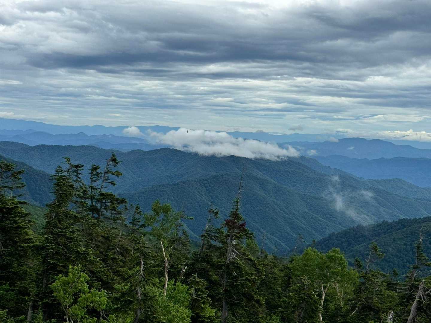 雲海
このどんより感で
何とか歩けました😊
