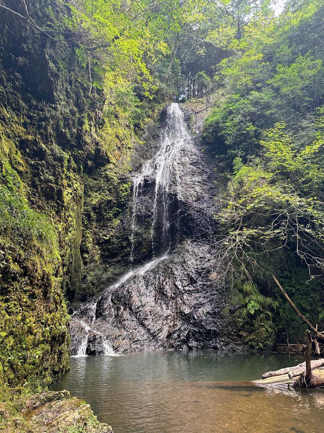 川沿いを歩いた奥に、滝又の滝
想像以上に迫力があり、いい！