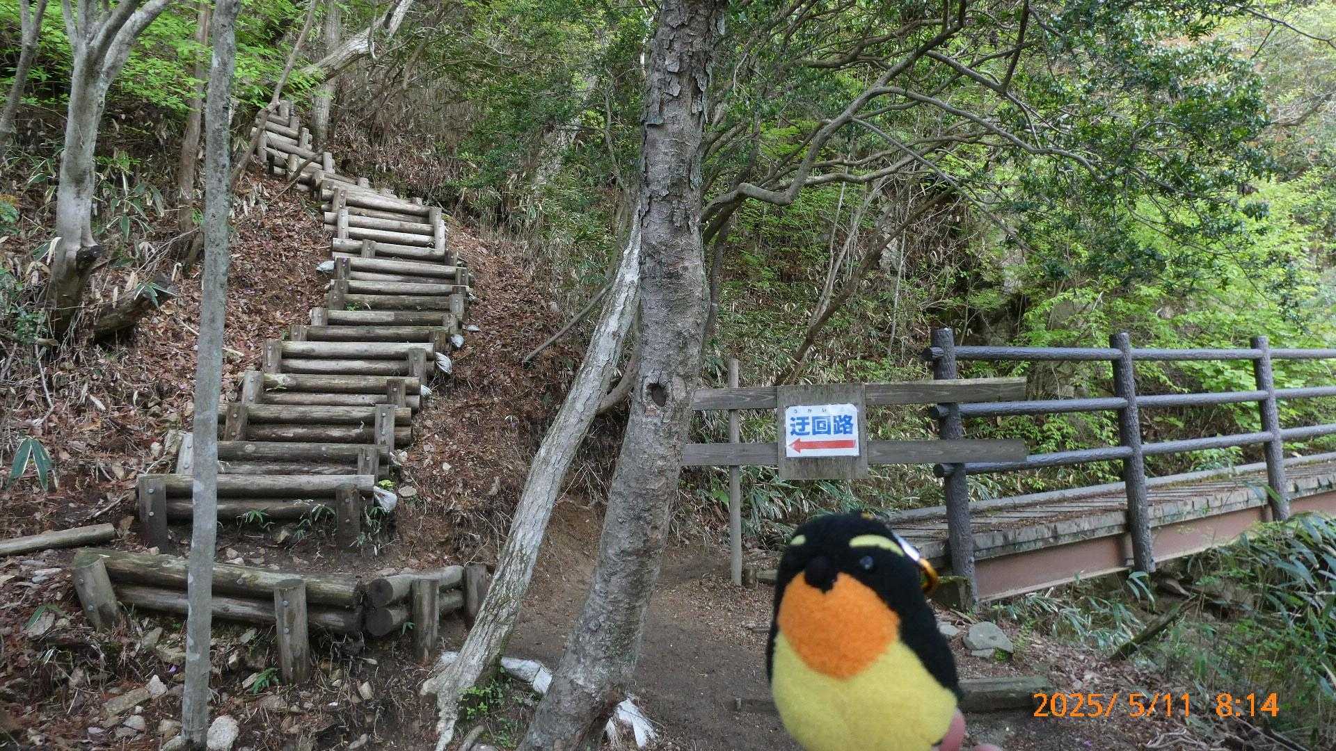 この迂回路階段、キツイですね😅