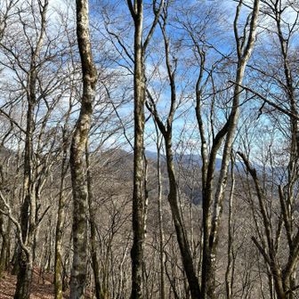 城ケ尾山〜城ケ尾峠より畦ヶ丸、丹沢表尾根