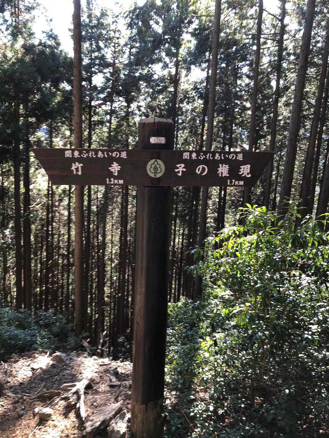 竹寺-豆口峠-子ノ山 往復コースの写真