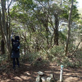 ②五助山に到着⛰️
