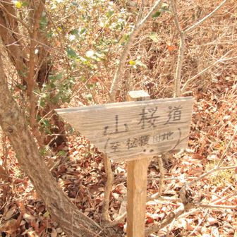 これを左へ行くと朝スタートした松籟団地に行くようだ👍