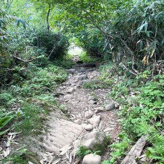 あっという間に下山！すぐに身支度して、