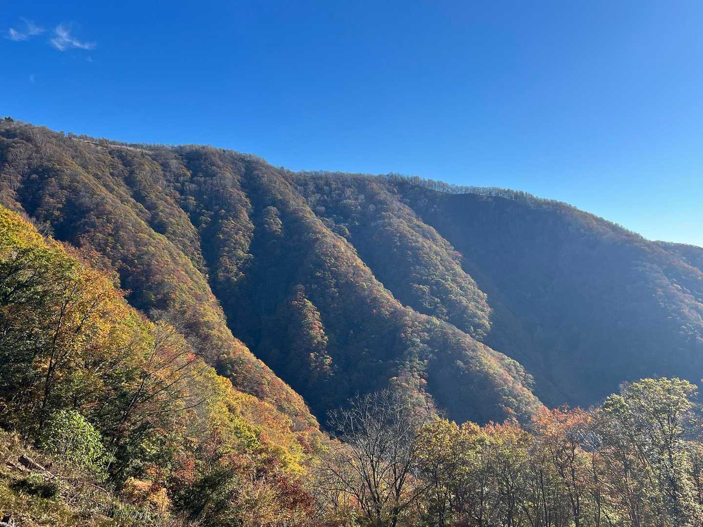 鷹ノ巣山 往復コースの写真