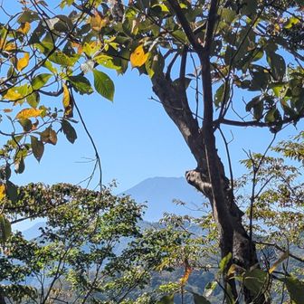 🗻頭が見えてる