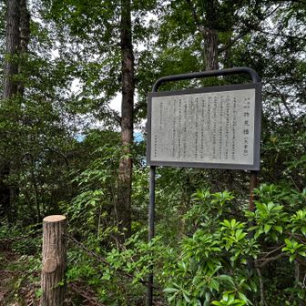 程なく一座目矢倉台
山頂標識はありませんでした