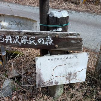 時間があるので県民の森で癒しを🚶