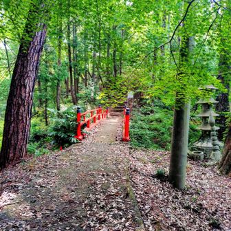 紅葉のシーズンは格別でしょうね
私は今みたいに人が少ない方が嬉しいかな(｡¯꒳¯｡)