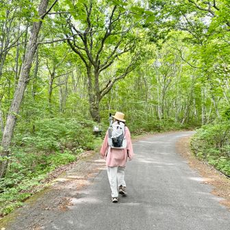 度々林道になるんだったよね〜思い出したわ