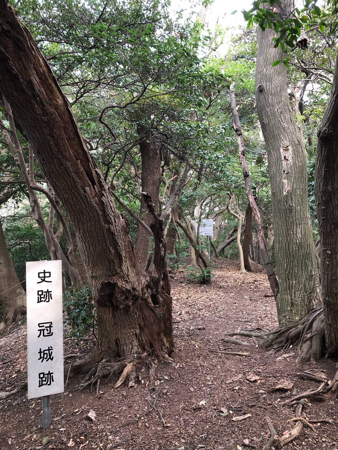 冠山山頂とスペースです⛰