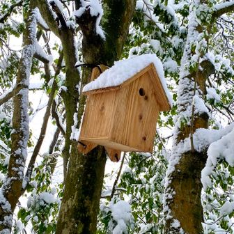小鳥の巣箱