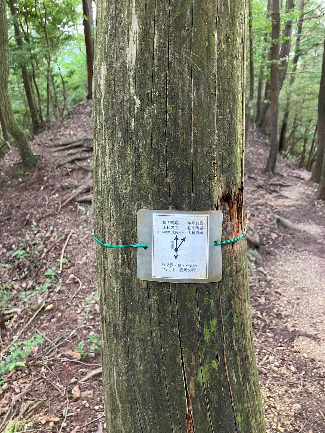 帰りにちょっと気になる道標が　今度、行ってみよう
