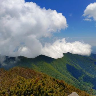 AIさんの予想通り麓から雲が湧いていて
劍山は雲隠れです
あちらも賑わっているでしょうね
気温+21℃

