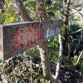 【女抱山▲山頂】いつもの感じで👍
