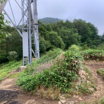 高架線真下の四合目で一休み