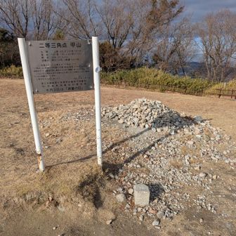 激階段続きでヘナヘナになりながら、１０座目ラスボス甲山🪲ゲット👍