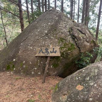 はい！
到着。でもここは眺望ないので
少し先に進みます