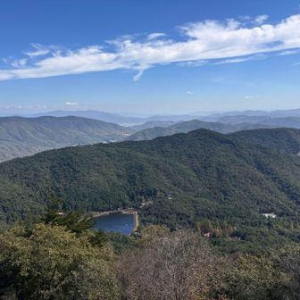 山村池だったかな、冬凍るんだよな