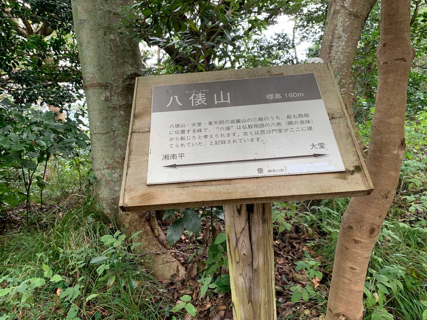 八俵山の写真
