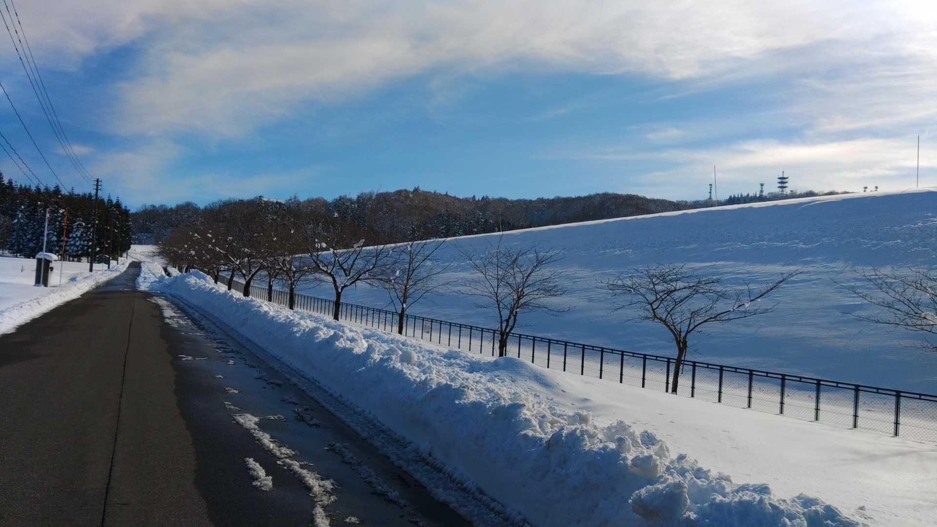 いつもならおぢゃ～る脇の雪原と林で、冬芽・足跡ウォッチングをしていくのですが、午後スタートなので、無雪ロードを進みます。