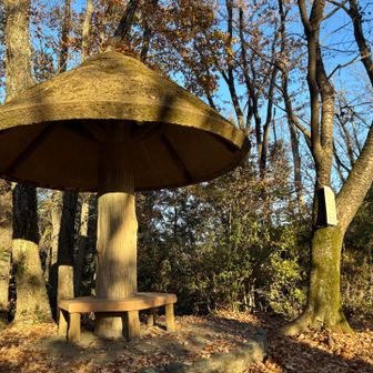 かわいい🍄きのこのベンチ！👀