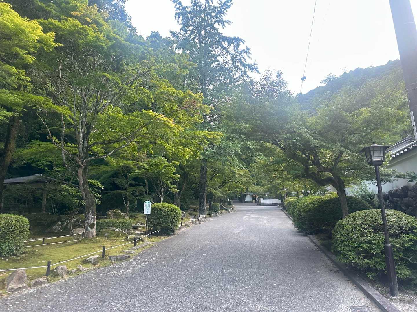 岩国城ロープーウェー 山頂駅 往復コースの写真