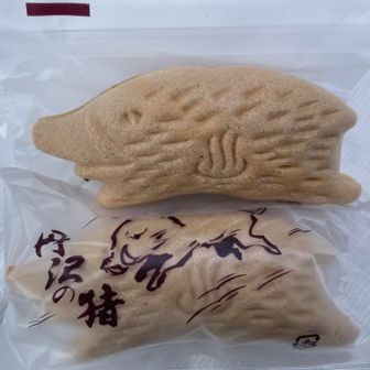 丹沢の猪🐗🐗🐗かわゆ