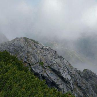 サンマルトの達人
